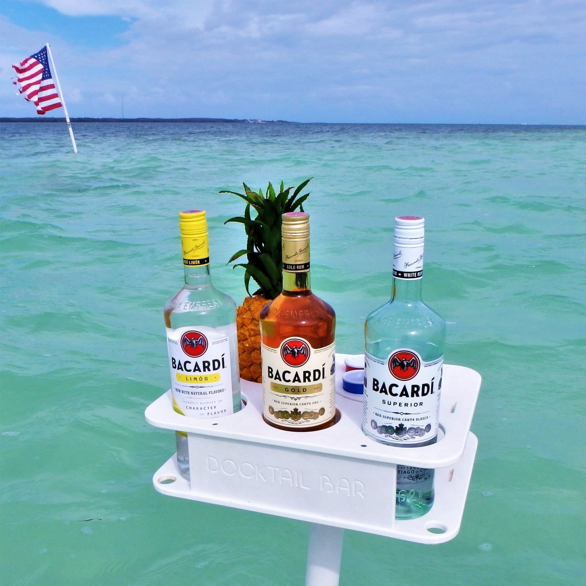 Docktail Jr Boat Cup Holder Caddy - Choose Your Mount Option - Then Color - Docktail Bar
