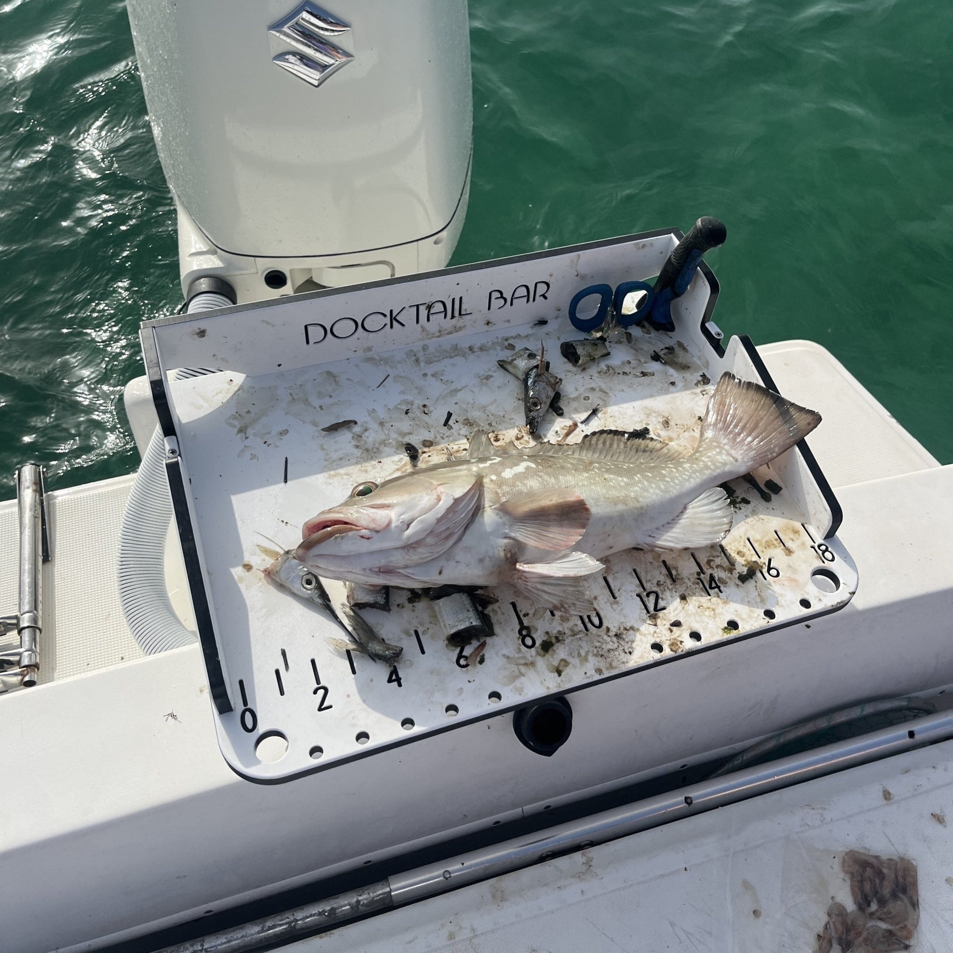 Premium Boat Bait Cutting Board – Rod Holder or Pontoon No Mount